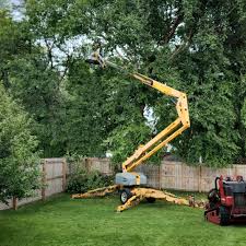 Best Sod Installation  in Midland City, AL