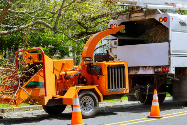 Midland City, AL Tree Removal Company