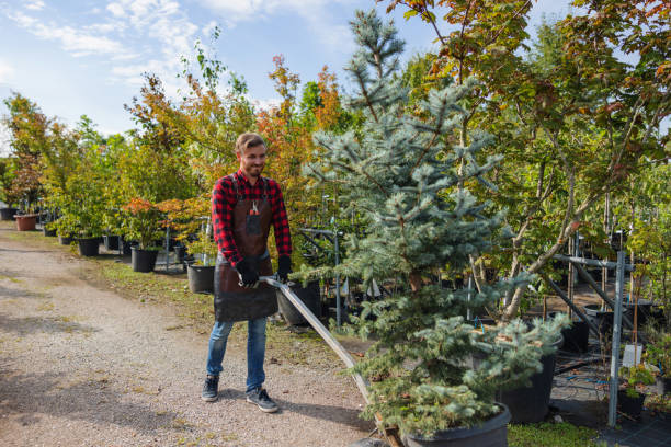 Best Hazardous Tree Removal  in Midland City, AL
